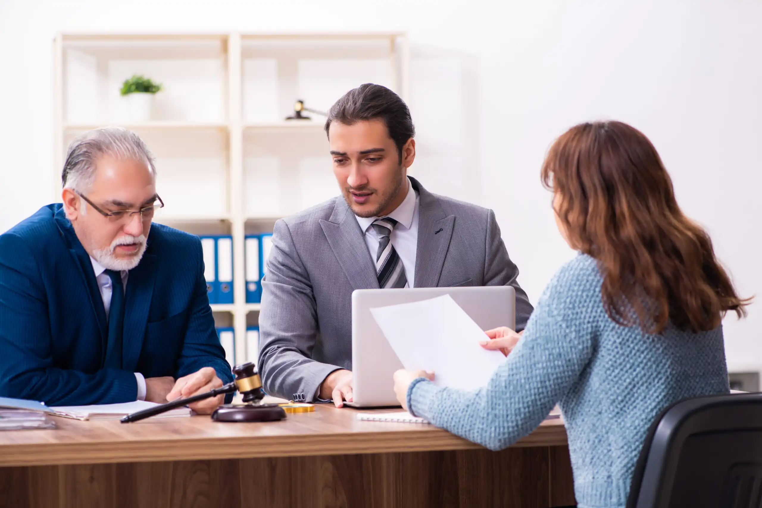 Immigration law consultation